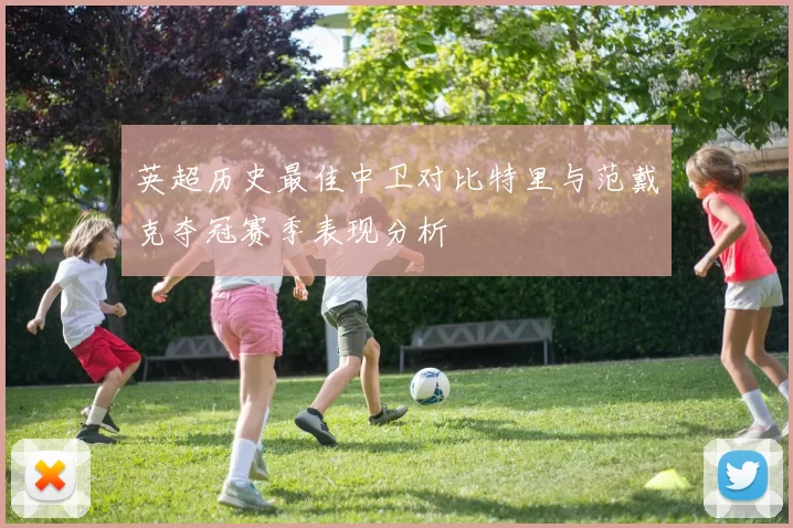 英超历史最佳中卫对比特里与范戴克夺冠赛季表现分析